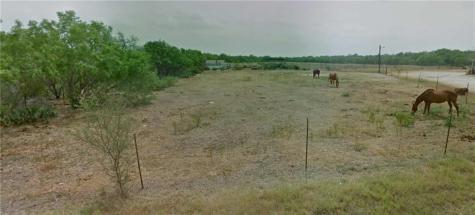 10 Acres Cr 421 Christine TX 78012