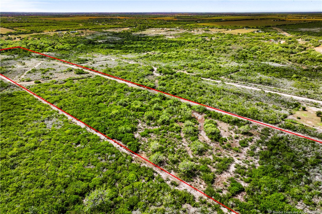 000 Hidden Creek Drive Orange Grove TX 78372