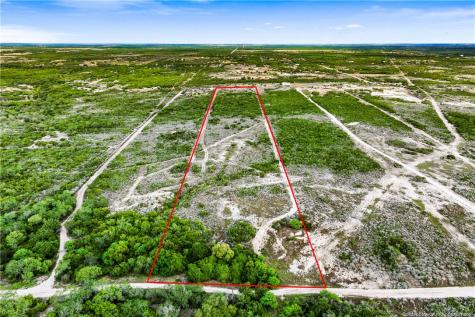 000 Hidden Creek Drive Orange Grove TX 78372