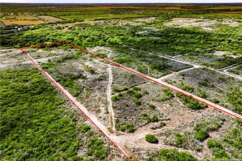000 Hidden Creek Drive Orange Grove TX 78372