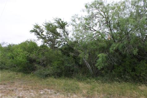 00 Cenesia Drive Sandia TX 78383