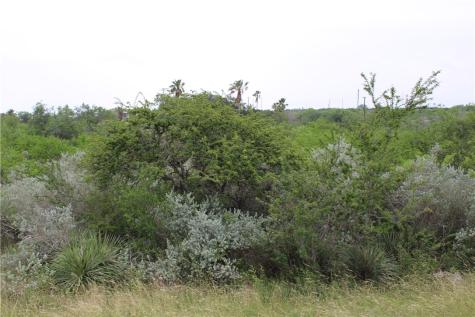 00 Cenesia Drive Sandia TX 78383