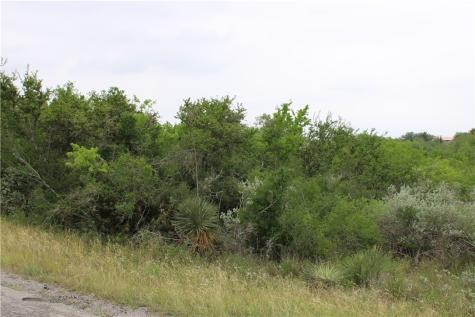 00 Cenesia Drive Sandia TX 78383