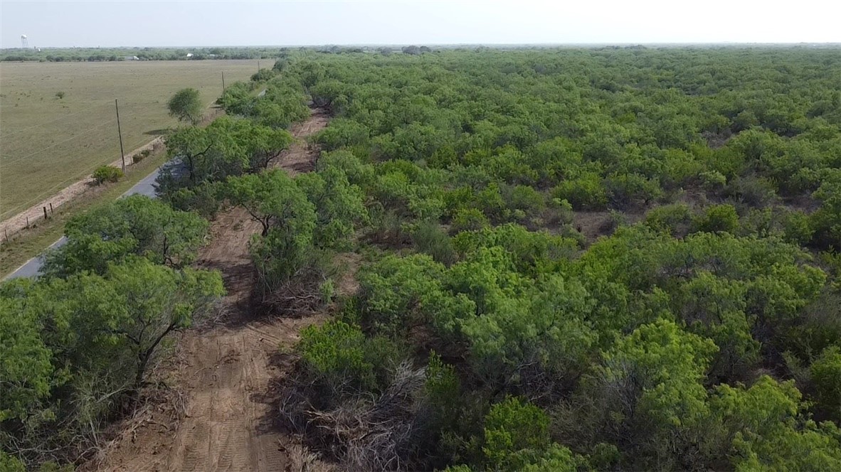 231 County Road Falfurrias TX 78355