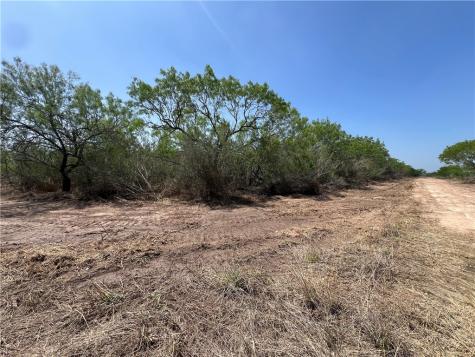 231 County Road Falfurrias TX 78355