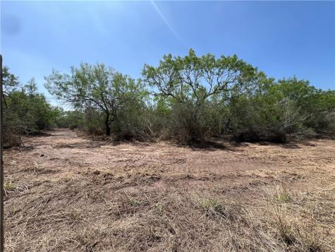 231 County Road Falfurrias TX 78355