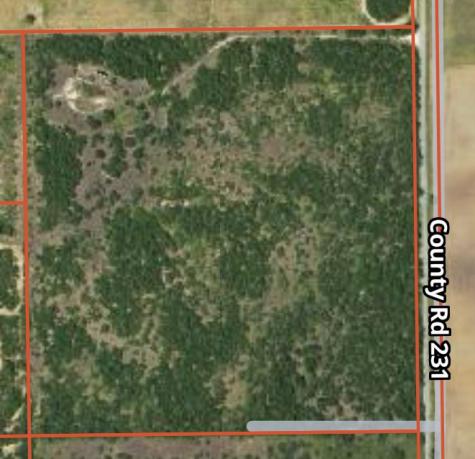 231 County Road Falfurrias TX 78355