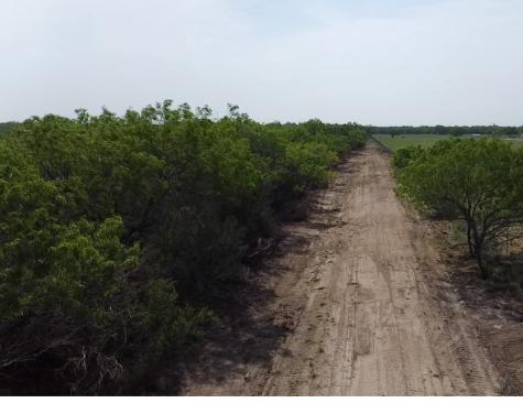 231 County Road Falfurrias TX 78355