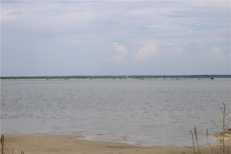 00 Lot 5 Vista Fina Drive Sandia TX 78383