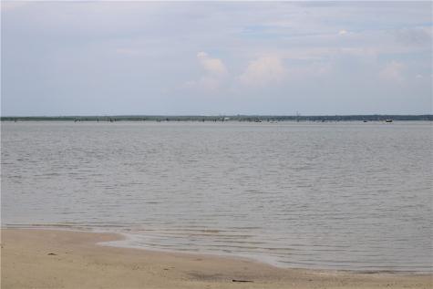 00 Lot 5 Vista Fina Drive Sandia TX 78383