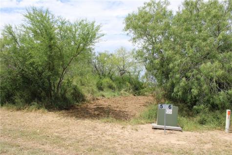00 Lot 5 Vista Fina Drive Sandia TX 78383