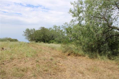 00 Lot 5 Vista Fina Drive Sandia TX 78383
