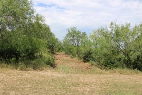 00 Lot 5 Vista Fina Drive Sandia TX 78383