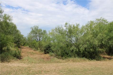00 Lot 5 Vista Fina Drive Sandia TX 78383