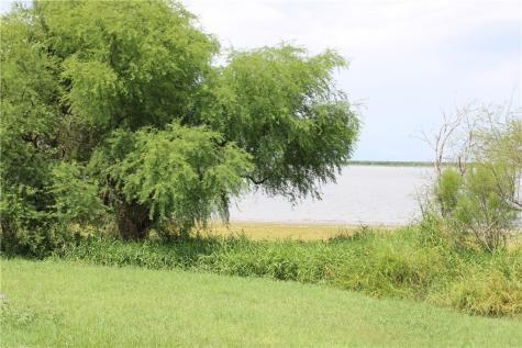 00 Lot 5 Vista Fina Drive Sandia TX 78383