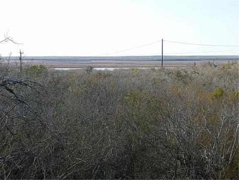 000 Fm 3024 Creek Mathis TX 78368