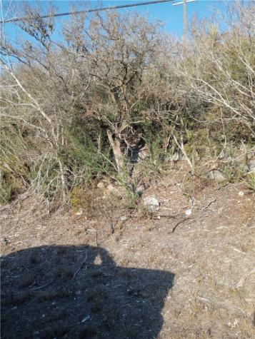 000 Fm 3024 Creek Mathis TX 78368