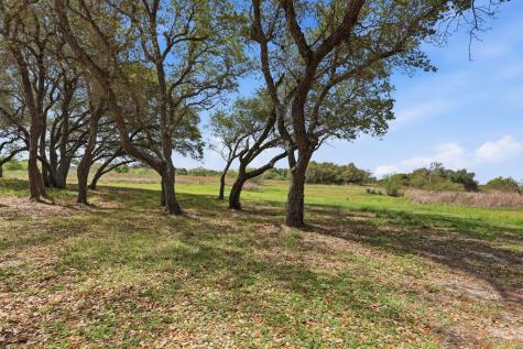 1203 W Young Avenue Aransas Pass TX 78336