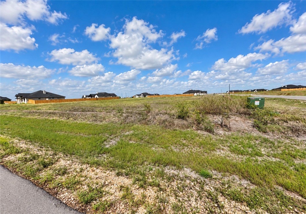 1493 Mariposa Ranch Drive Corpus Christi TX 78415