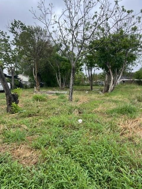 3133 Huisache Street Corpus Christi TX 78408