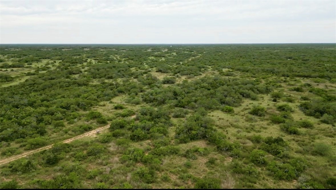 0 Co Rd. 314 Lot 3521 Falfurrias TX 78355