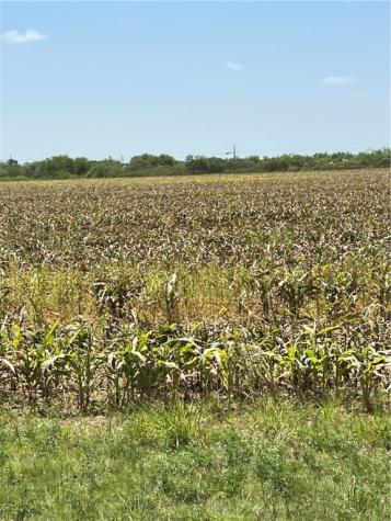 15489 County Road 1726 Odem TX 78370
