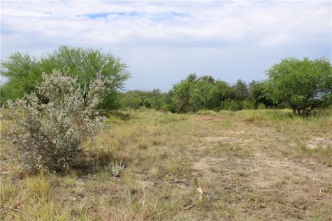 00 Lot 3 Vista Fina Drive Sandia TX 78383