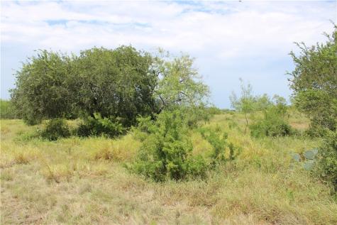 00 Lot 3 Vista Fina Drive Sandia TX 78383