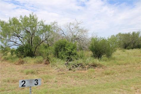 00 Lot 3 Vista Fina Drive Sandia TX 78383