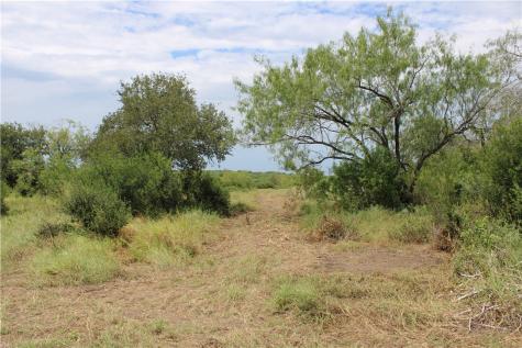 00 Lot 3 Vista Fina Drive Sandia TX 78383
