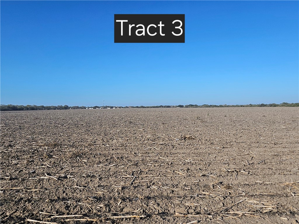 Tract 3 W Escondido Road Kingsville TX 78363