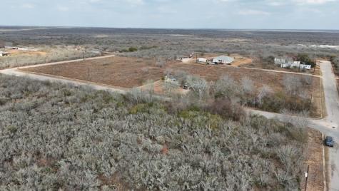 000 Tampico Avenue Hebbronville TX 78361