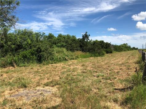 0 Creek 59 South Of Fm 70 Bishop TX 78343