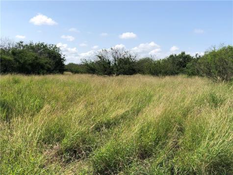 0 Creek 59 South Of Fm 70 Bishop TX 78343