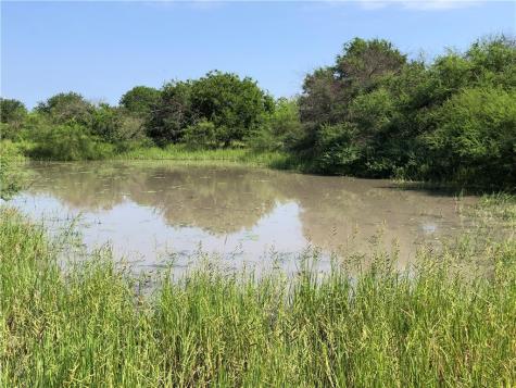 0 Creek 59 South Of Fm 70 Bishop TX 78343