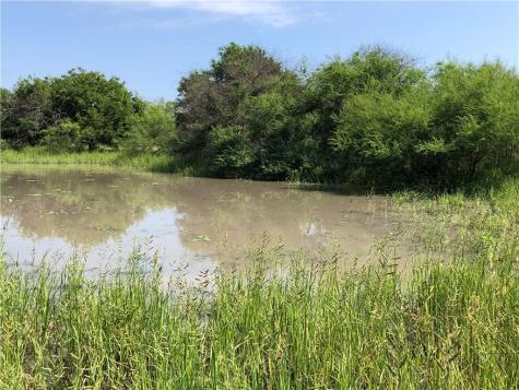 0 Creek 59 South Of Fm 70 Bishop TX 78343