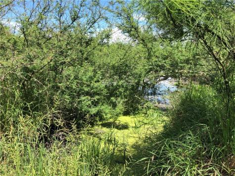 0 Creek 59 South Of Fm 70 Bishop TX 78343