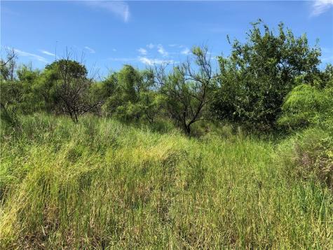 0 Creek 59 South Of Fm 70 Bishop TX 78343