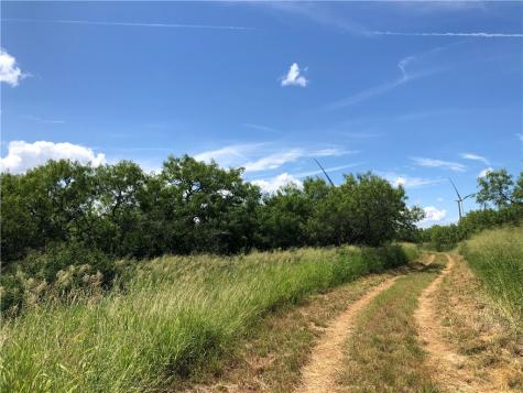 0 Creek 59 South Of Fm 70 Bishop TX 78343