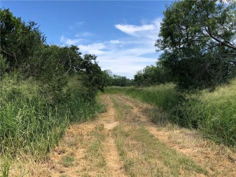 0 Creek 59 South Of Fm 70 Bishop TX 78343