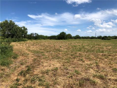 0 Creek 59 South Of Fm 70 Bishop TX 78343