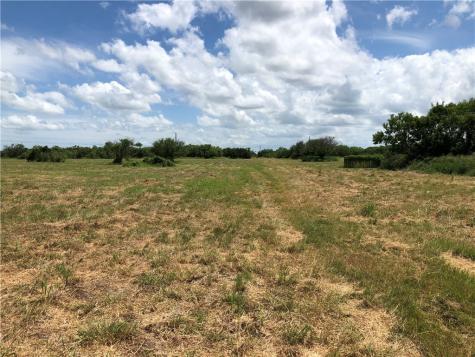 0 Creek 59 South Of Fm 70 Bishop TX 78343