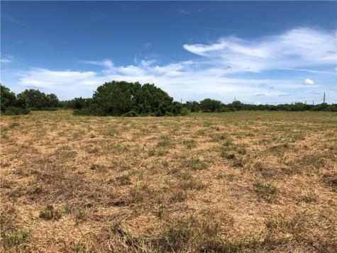 0 Creek 59 South Of Fm 70 Bishop TX 78343