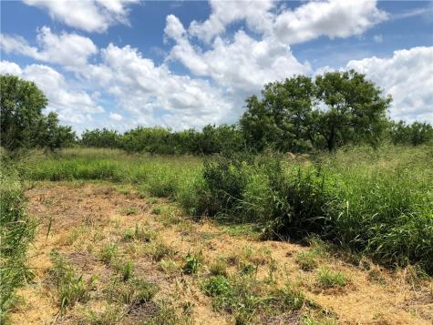 0 Creek 59 South Of Fm 70 Bishop TX 78343