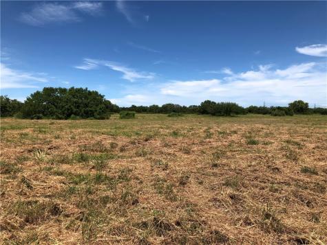 0 Creek 59 South Of Fm 70 Bishop TX 78343