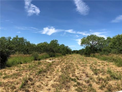 0 Creek 59 South Of Fm 70 Bishop TX 78343