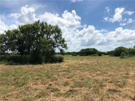 0 Creek 59 South Of Fm 70 Bishop TX 78343