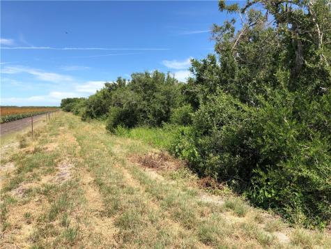 0 Creek 59 South Of Fm 70 Bishop TX 78343