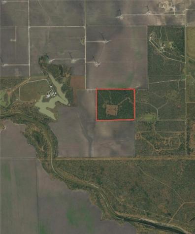 0 Creek 59 South Of Fm 70 Bishop TX 78343