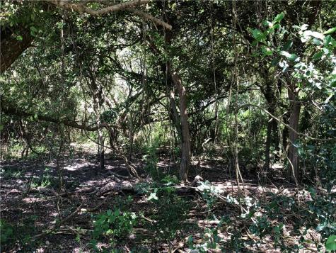 0 Creek 59 South Of Fm 70 Bishop TX 78343